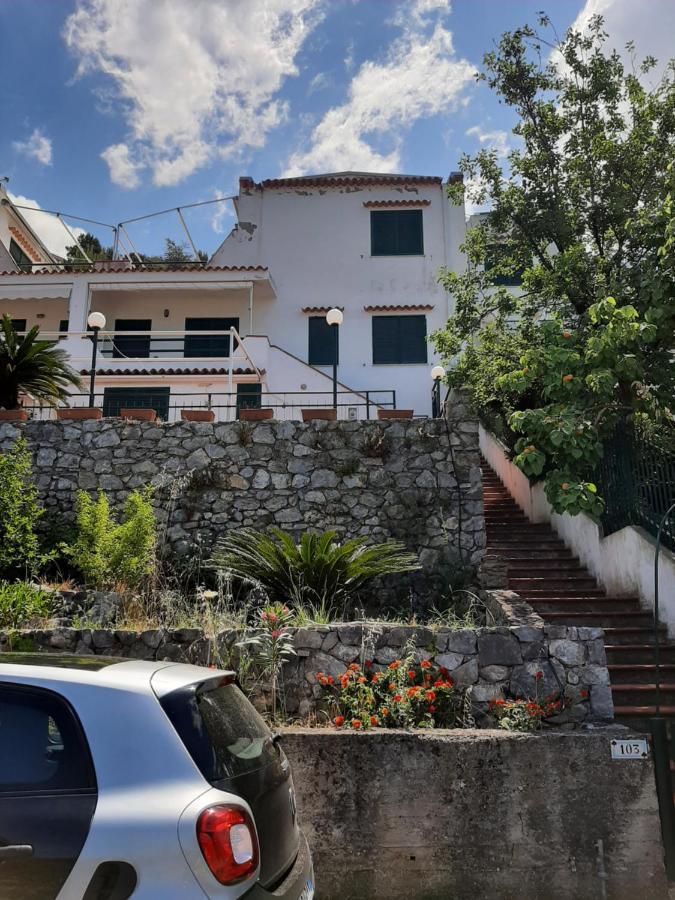 Arcomagno Guest House San Nicola Arcella Exterior photo